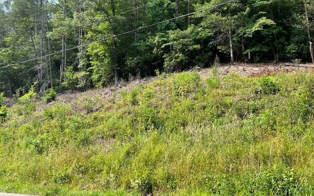 Lot 3 Fires Creek Road, Hayesville, NC 28904