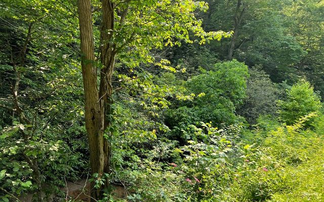 Lot 3 Fires Creek Road, Hayesville, NC 28904