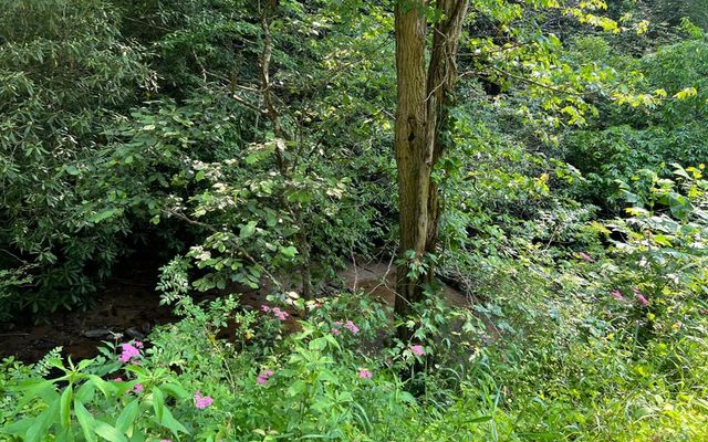 Lot 3 Fires Creek Road, Hayesville, NC 28904