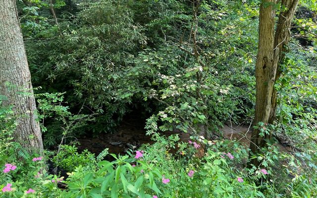 Lot 3 Fires Creek Road, Hayesville, NC 28904