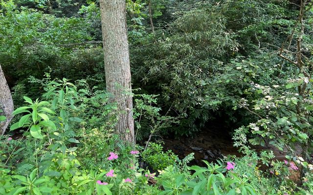 Lot 3 Fires Creek Road, Hayesville, NC 28904