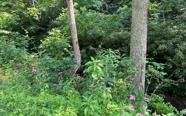 Lot 3 Fires Creek Road, Hayesville, NC 28904