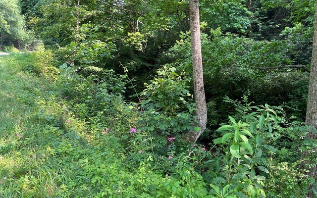 Lot 3 Fires Creek Road, Hayesville, NC 28904