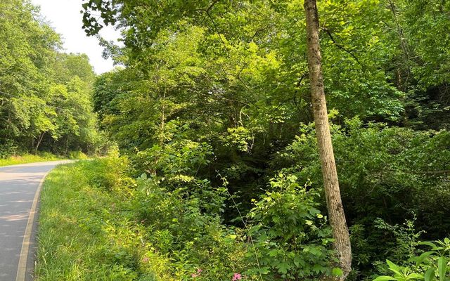 Lot 3 Fires Creek Road, Hayesville, NC 28904
