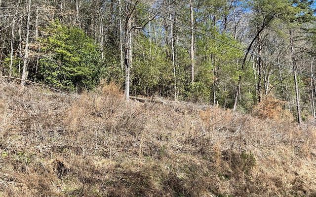 Lot 3 Fires Creek Road, Hayesville, NC 28904