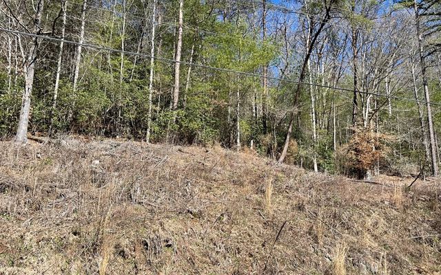 Lot 3 Fires Creek Road, Hayesville, NC 28904