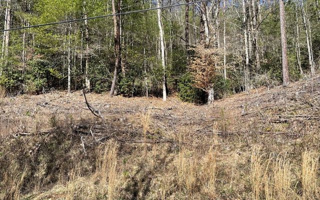 Lot 3 Fires Creek Road, Hayesville, NC 28904