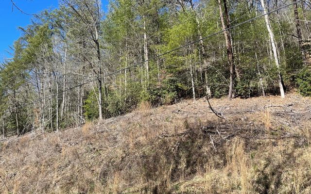 Lot 3 Fires Creek Road, Hayesville, NC 28904