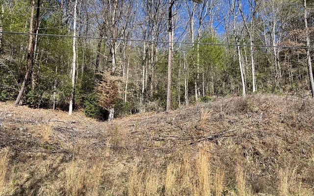 Lot 3 Fires Creek Road, Hayesville, NC 28904
