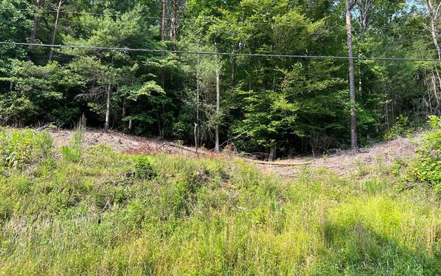 Lot 3 Fires Creek Road, Hayesville, NC 28904