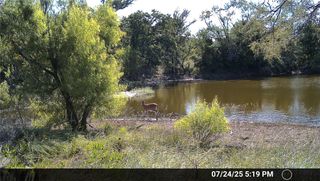 N/A Wayland Ranches, Breckenridge, TX 76424