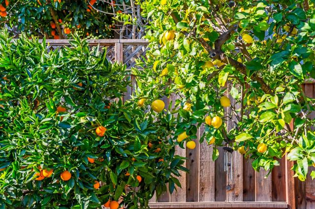 1001 Curtner Avenue, San Jose, CA 95125