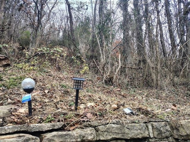 439 Midland Avenue, Belle, WV 25015