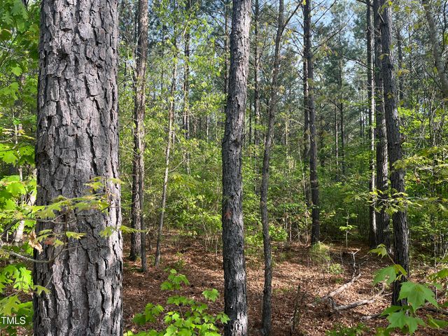 Lot 13 Wolf Pit Rd Road, Oxford, NC 27565