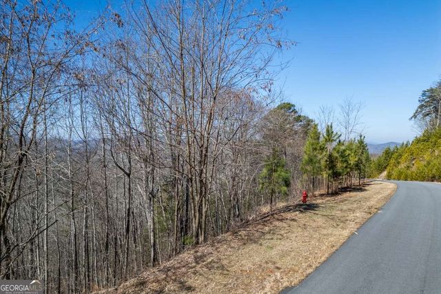 LOT 370 Thirteen Hundred, Blairsville, GA 30512