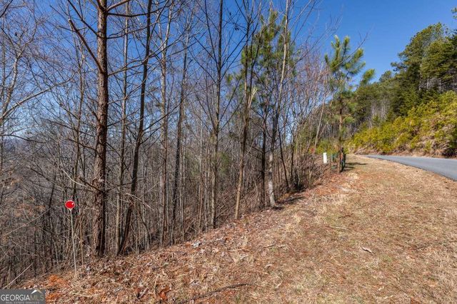 LOT 370 Thirteen Hundred, Blairsville, GA 30512