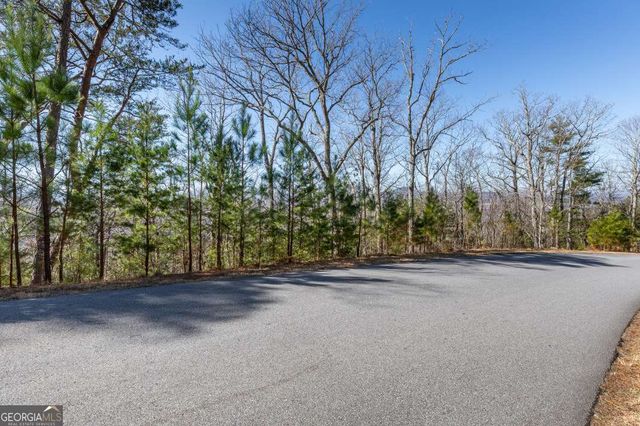 LOT 370 Thirteen Hundred, Blairsville, GA 30512