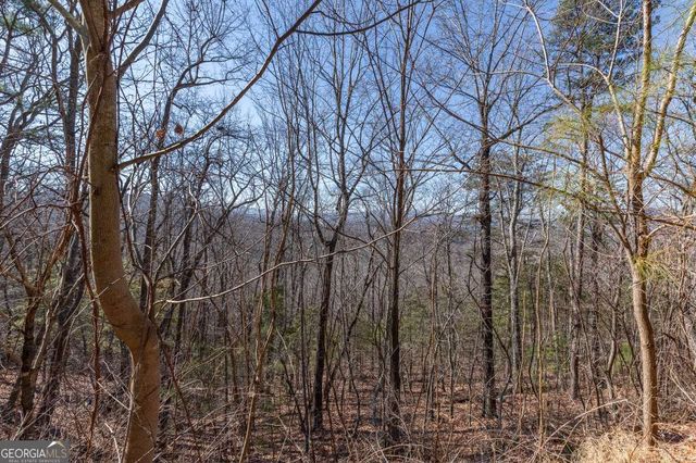 LOT 370 Thirteen Hundred, Blairsville, GA 30512