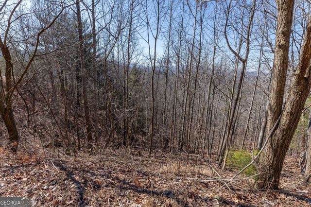 LOT 370 Thirteen Hundred, Blairsville, GA 30512