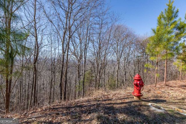 LOT 370 Thirteen Hundred, Blairsville, GA 30512