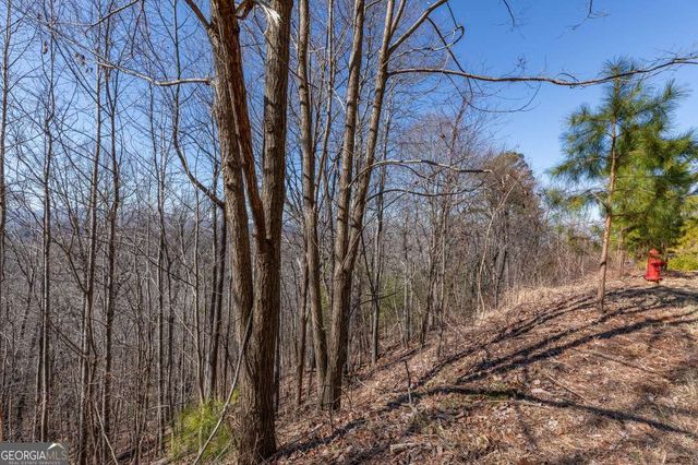 LOT 370 Thirteen Hundred, Blairsville, GA 30512