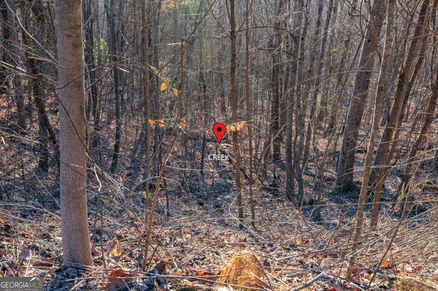 LOT 370 Thirteen Hundred, Blairsville, GA 30512