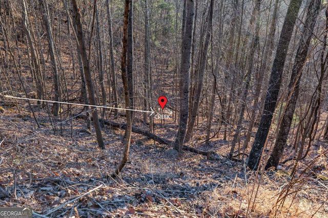 LOT 370 Thirteen Hundred, Blairsville, GA 30512