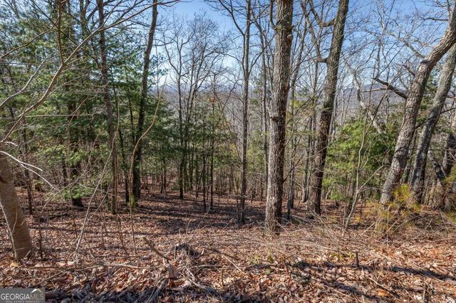 LOT 370 Thirteen Hundred, Blairsville, GA 30512