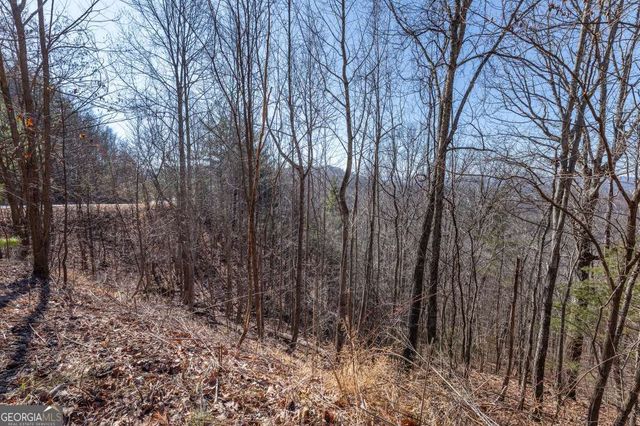 LOT 370 Thirteen Hundred, Blairsville, GA 30512