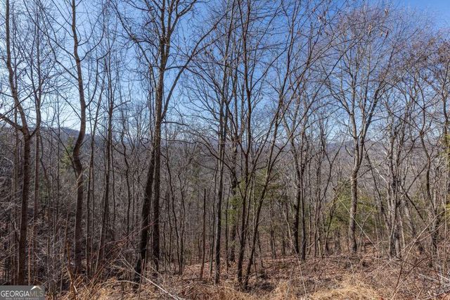 LOT 370 Thirteen Hundred, Blairsville, GA 30512