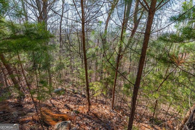 LOT 370 Thirteen Hundred, Blairsville, GA 30512