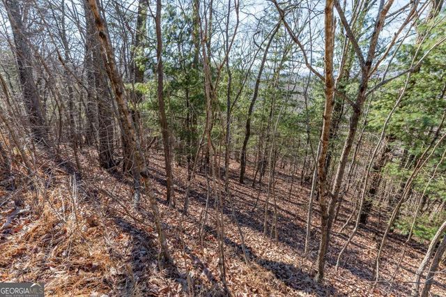 LOT 370 Thirteen Hundred, Blairsville, GA 30512