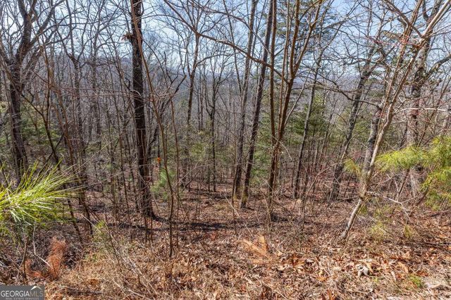 LOT 370 Thirteen Hundred, Blairsville, GA 30512