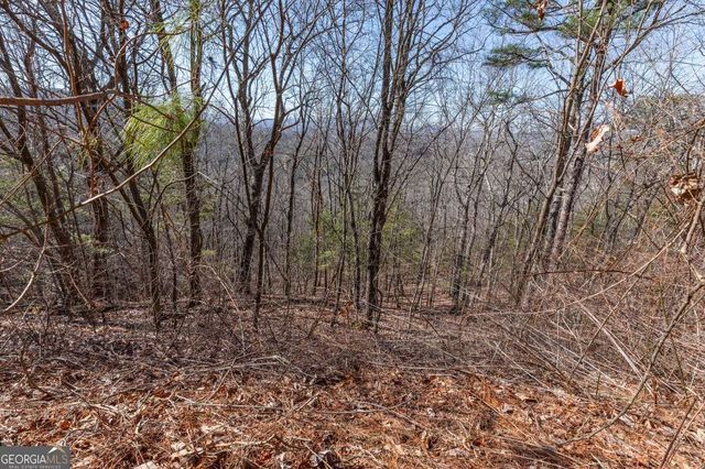 LOT 370 Thirteen Hundred, Blairsville, GA 30512
