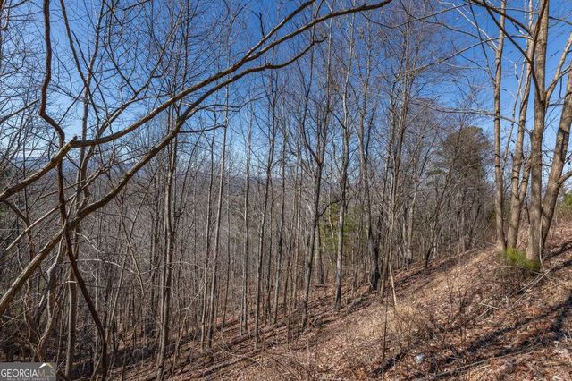 LOT 370 Thirteen Hundred, Blairsville, GA 30512