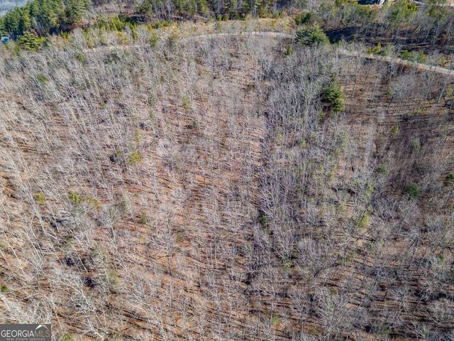 LOT 370 Thirteen Hundred, Blairsville, GA 30512