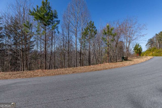 LOT 370 Thirteen Hundred, Blairsville, GA 30512