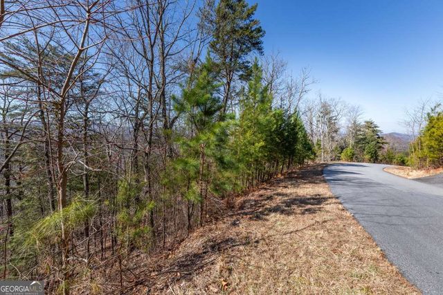 LOT 370 Thirteen Hundred, Blairsville, GA 30512