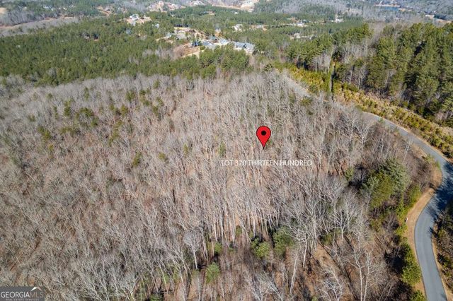 LOT 370 Thirteen Hundred, Blairsville, GA 30512