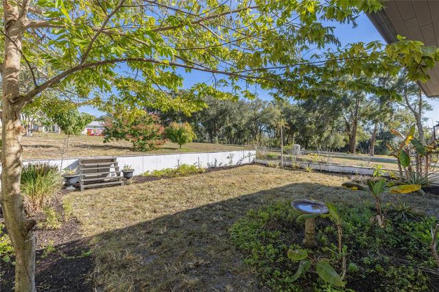 6905 CLAYTON STREET, Mount Dora, FL 32757