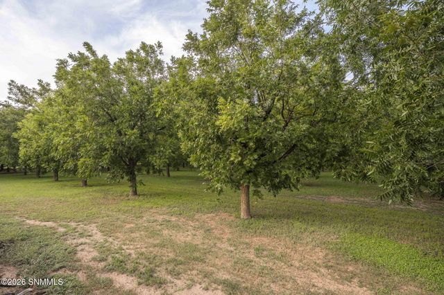 820 Engler Road, Las Cruces, NM 88007