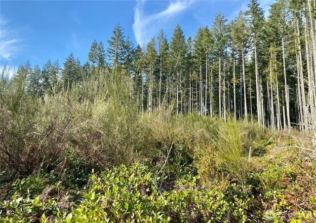 13617 144th Street NW, Gig Harbor, WA 98329