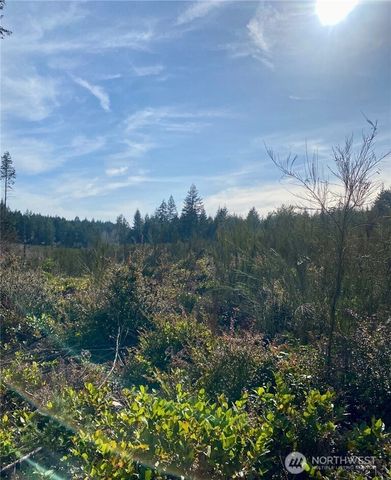 13617 144th Street NW, Gig Harbor, WA 98329