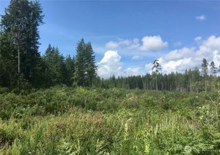 13617 144th Street NW, Gig Harbor, WA 98329