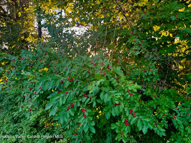 Lot 7 Stickles Road, Hudson, NY 12534