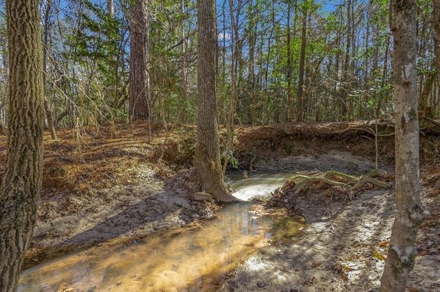 893 Capps Road, Huntington, TX 75949