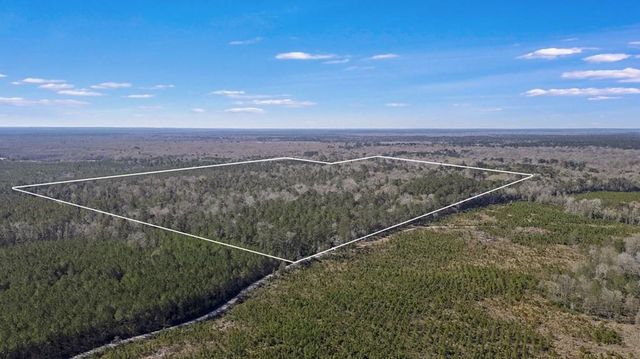 893 Capps Road, Huntington, TX 75949