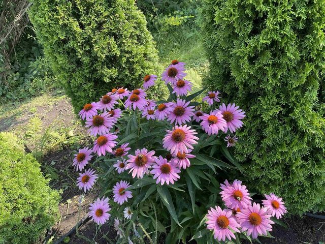 270 GILLETT STREET, Fond Du Lac, WI 54935