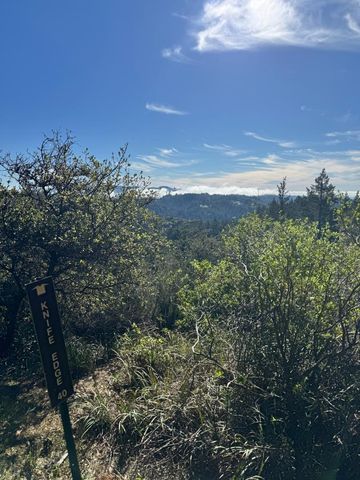 21112 Shear Creek Road, Los Gatos, CA 95033