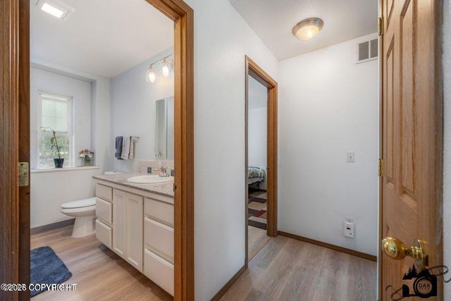 17201 W Lighthouse Drive, Big Lake, AK 99652